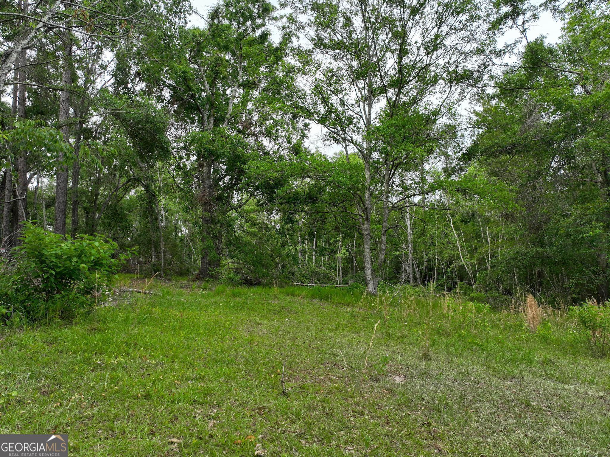 760 Memphis Road Property Photo 14