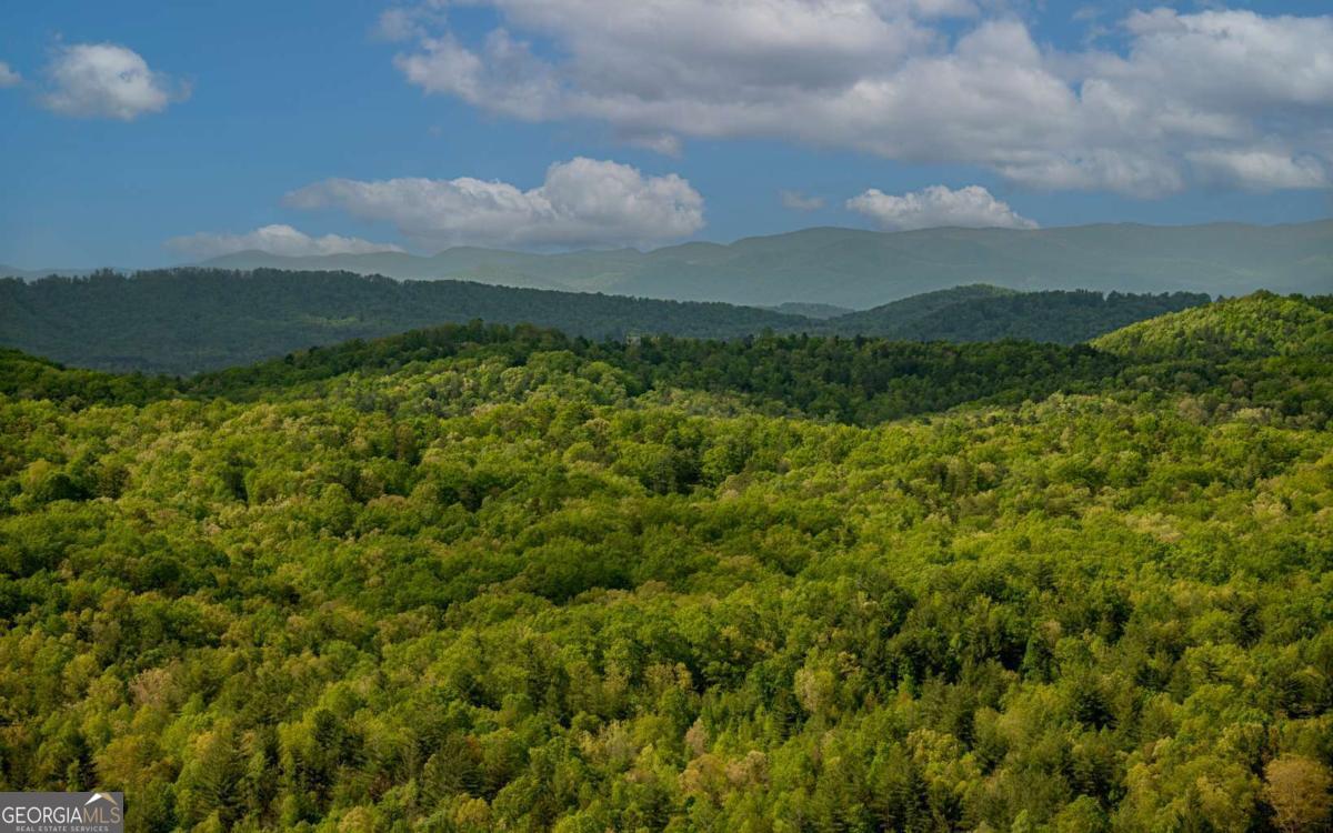 Lot 25 Scouts Overlook Property Photo 4