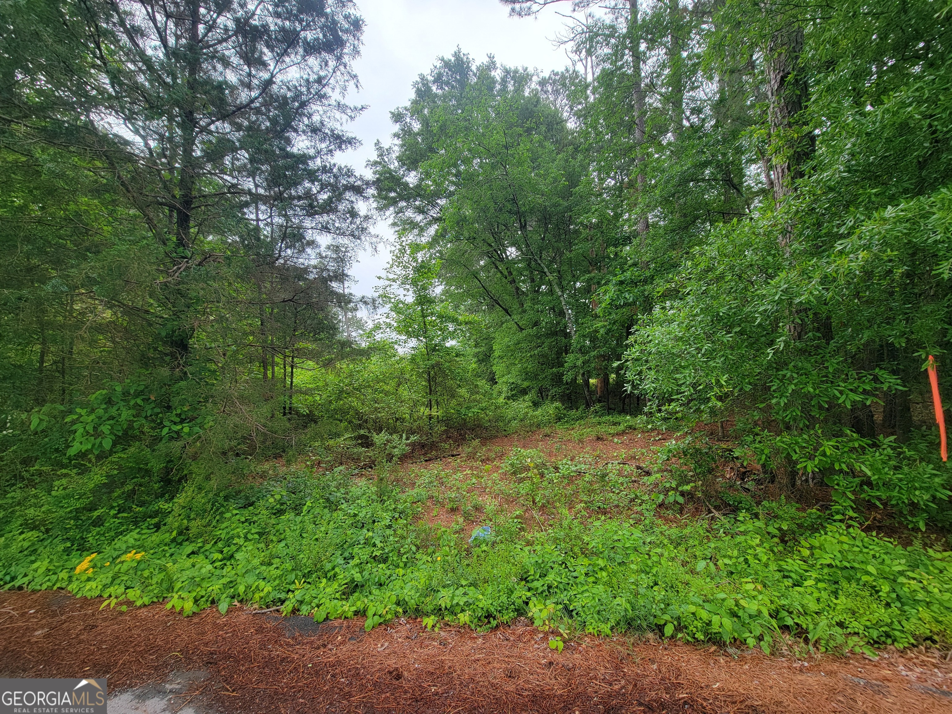 0 Lake Wanda Rita Property Photo 4