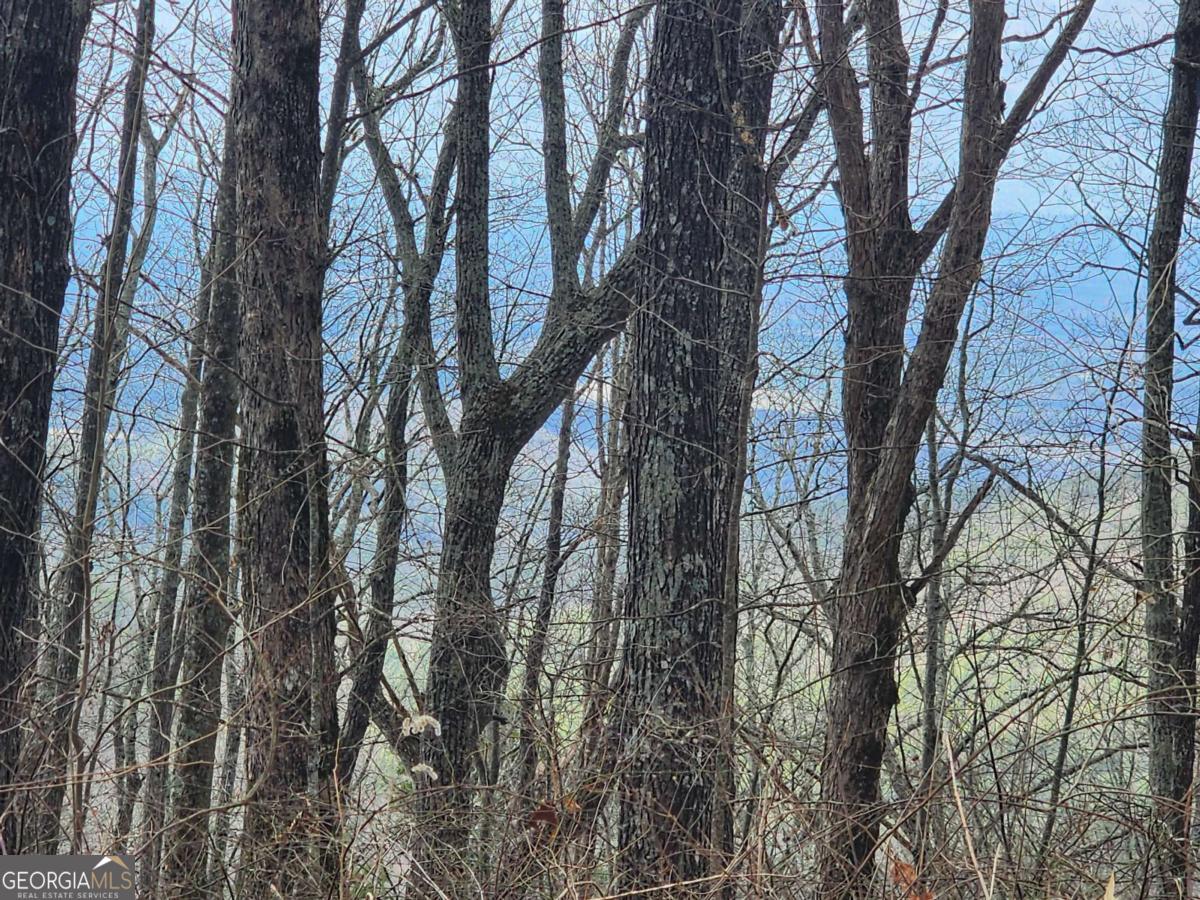 0 Dowell Circle Property Photo 3