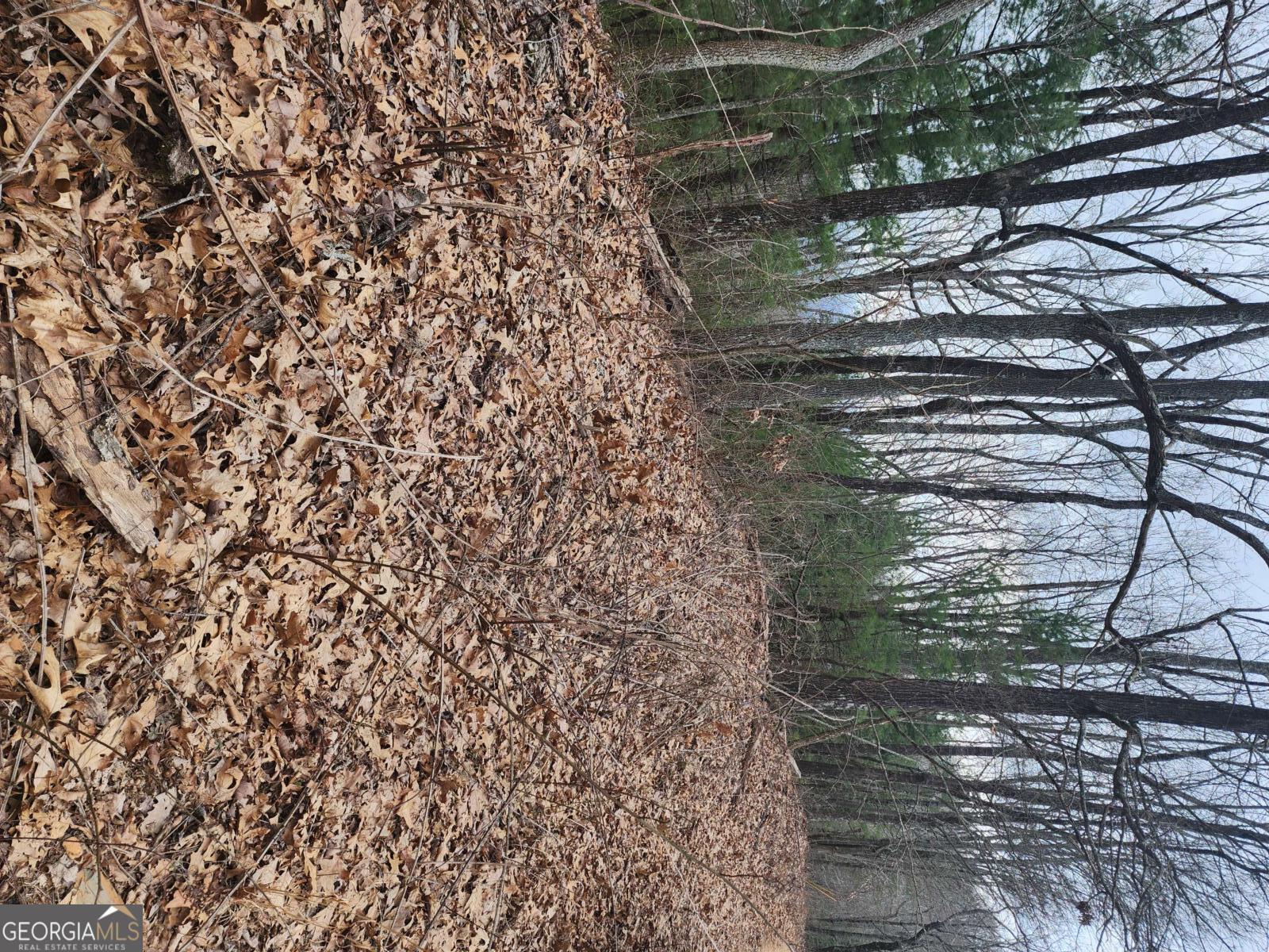 0 Dowell Circle Property Photo 4