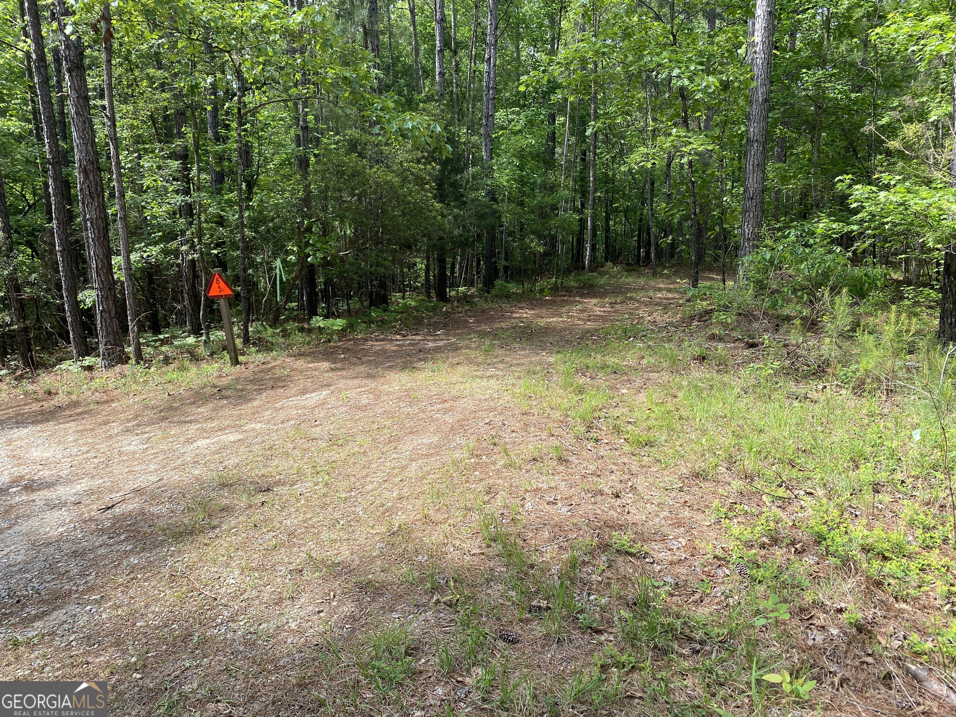 0 Davis Road Property Photo 7