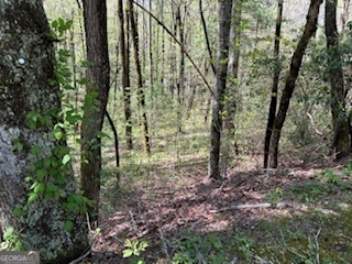 0 Bald Mountain Road Property Photo 1