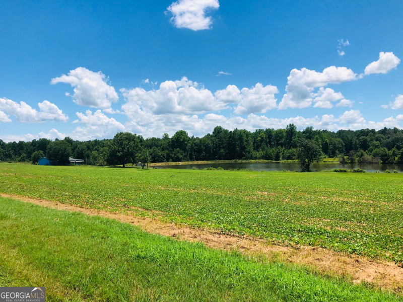 9198 Highway 224 Property Photo 1