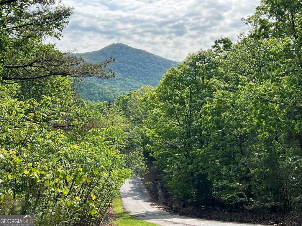 Lot 25 Loftis Mountain Property Photo 1
