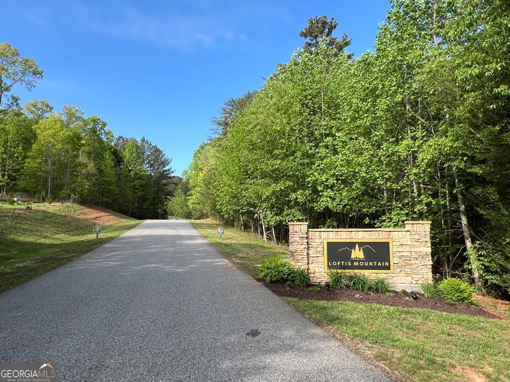 Lot 25 Loftis Mountain Property Photo 2