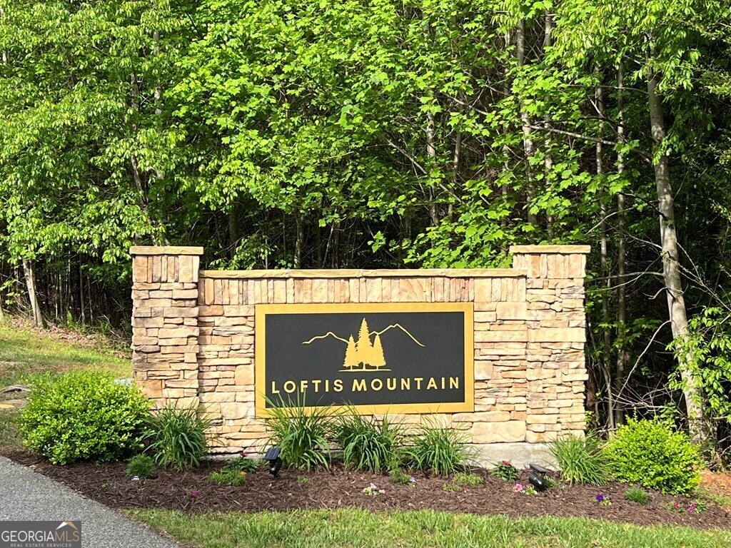 Lot 25 Loftis Mountain Property Photo 3