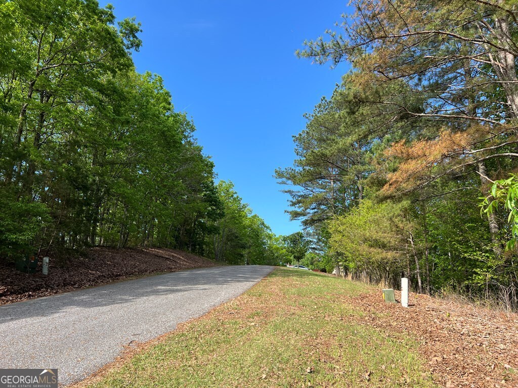 Lot 25 Loftis Mountain Property Photo 4