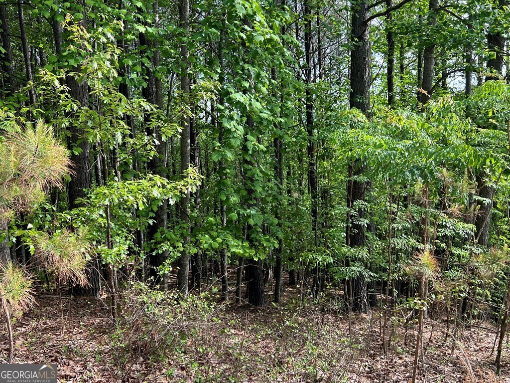 Lot 25 Loftis Mountain Property Photo 5