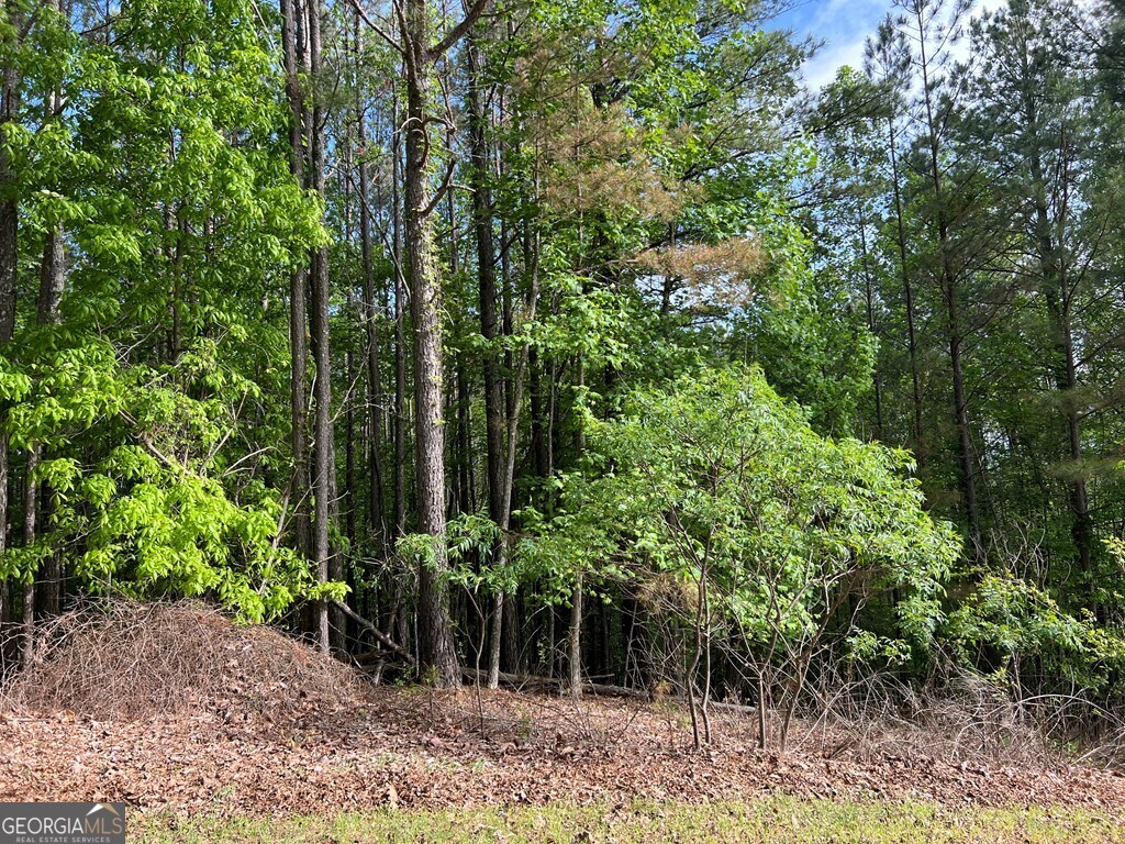 Lot 25 Loftis Mountain Property Photo 6