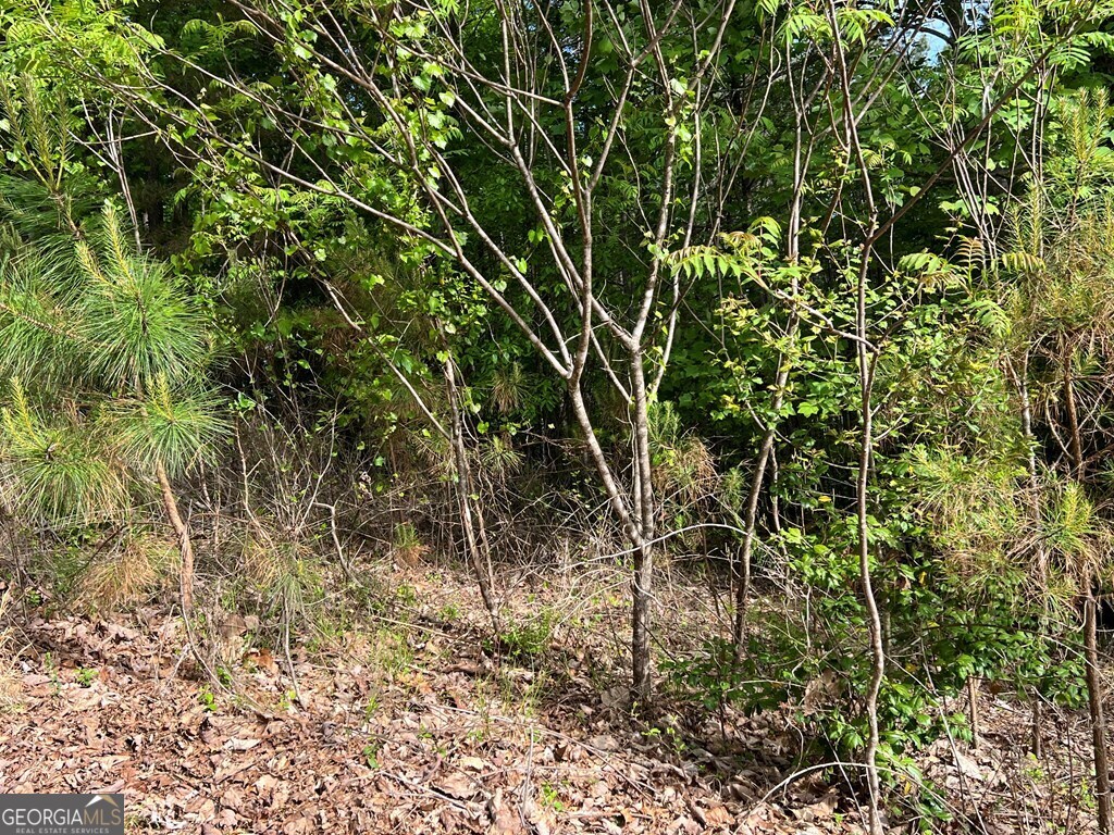 Lot 25 Loftis Mountain Property Photo 7