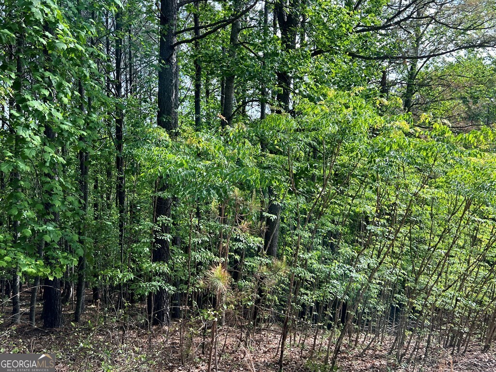 Lot 25 Loftis Mountain Property Photo 8