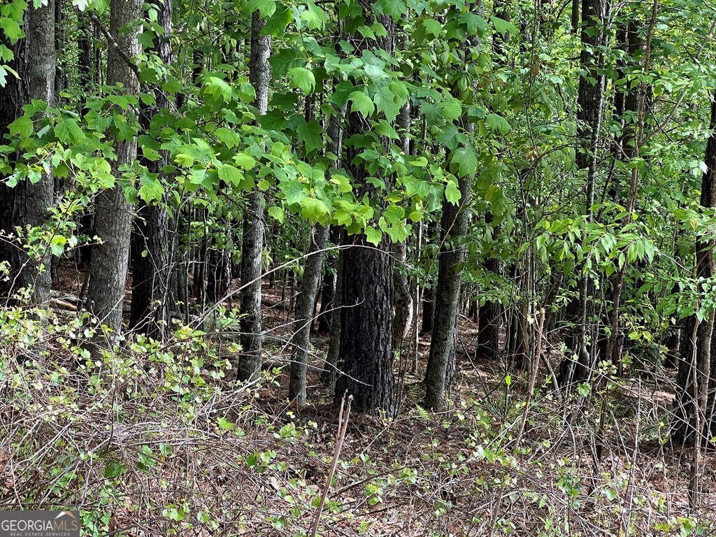 Lot 25 Loftis Mountain Property Photo 9