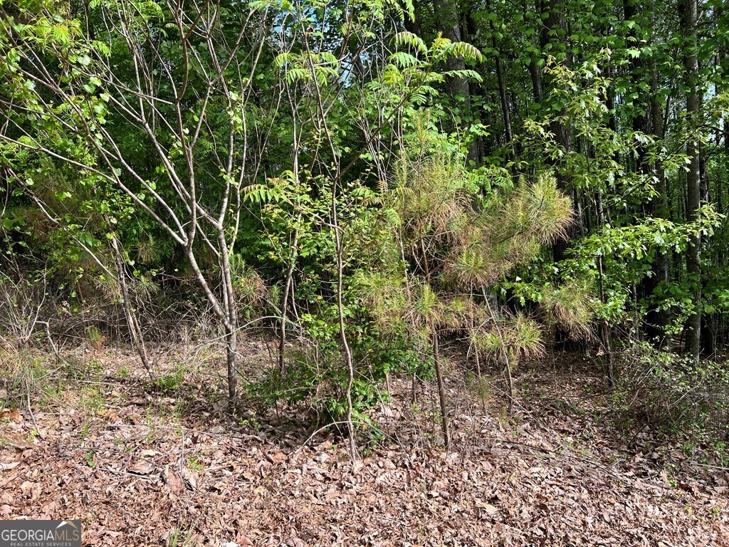 Lot 25 Loftis Mountain Property Photo 10