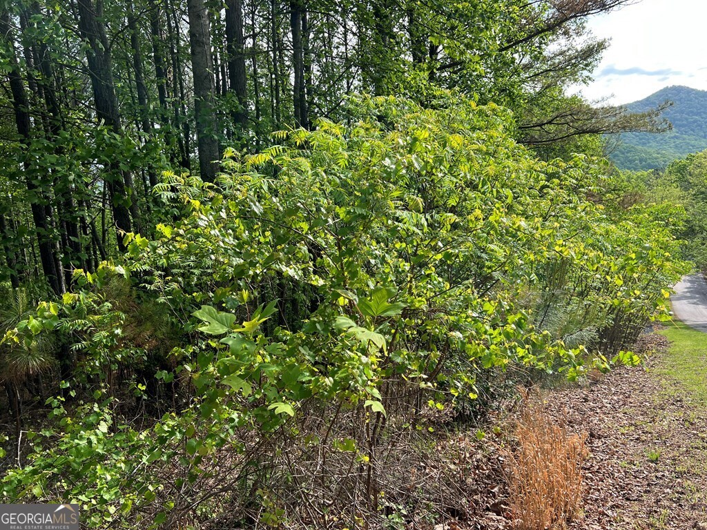 Lot 25 Loftis Mountain Property Photo 11