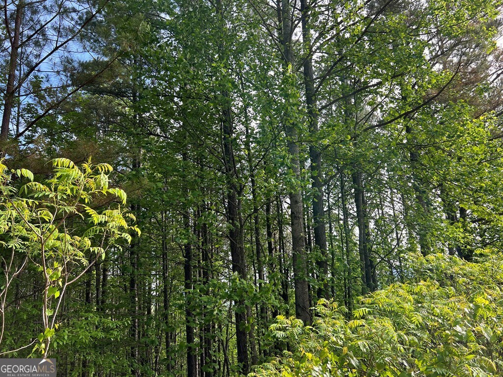 Lot 25 Loftis Mountain Property Photo 12