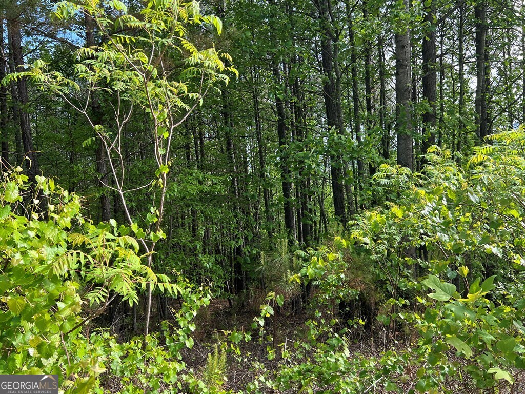 Lot 25 Loftis Mountain Property Photo 13