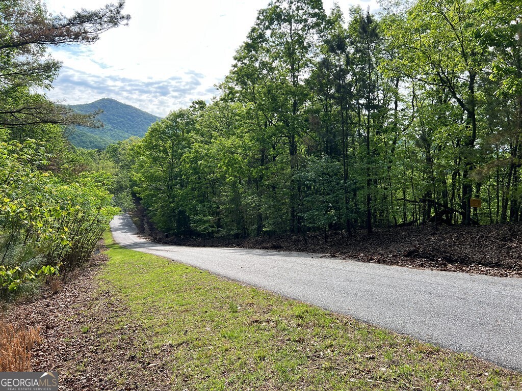 Lot 25 Loftis Mountain Property Photo 14