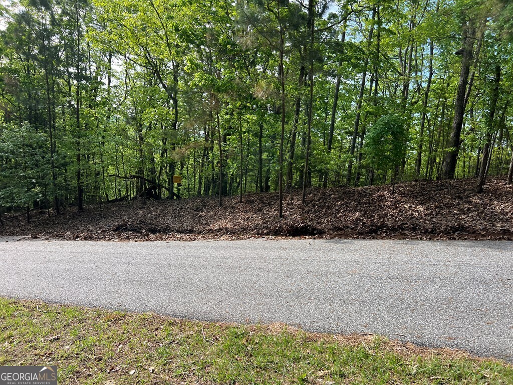 Lot 25 Loftis Mountain Property Photo 15