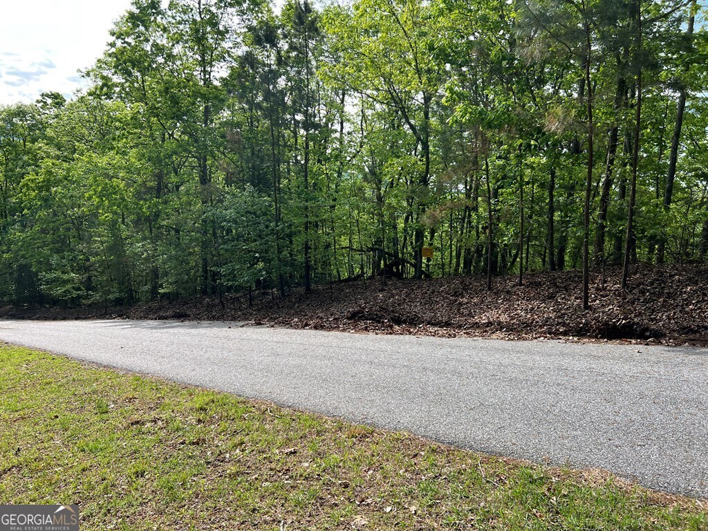 Lot 25 Loftis Mountain Property Photo 16
