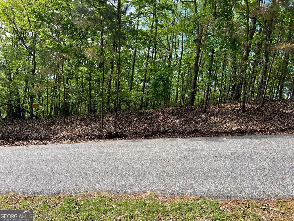 Lot 25 Loftis Mountain Property Photo 17