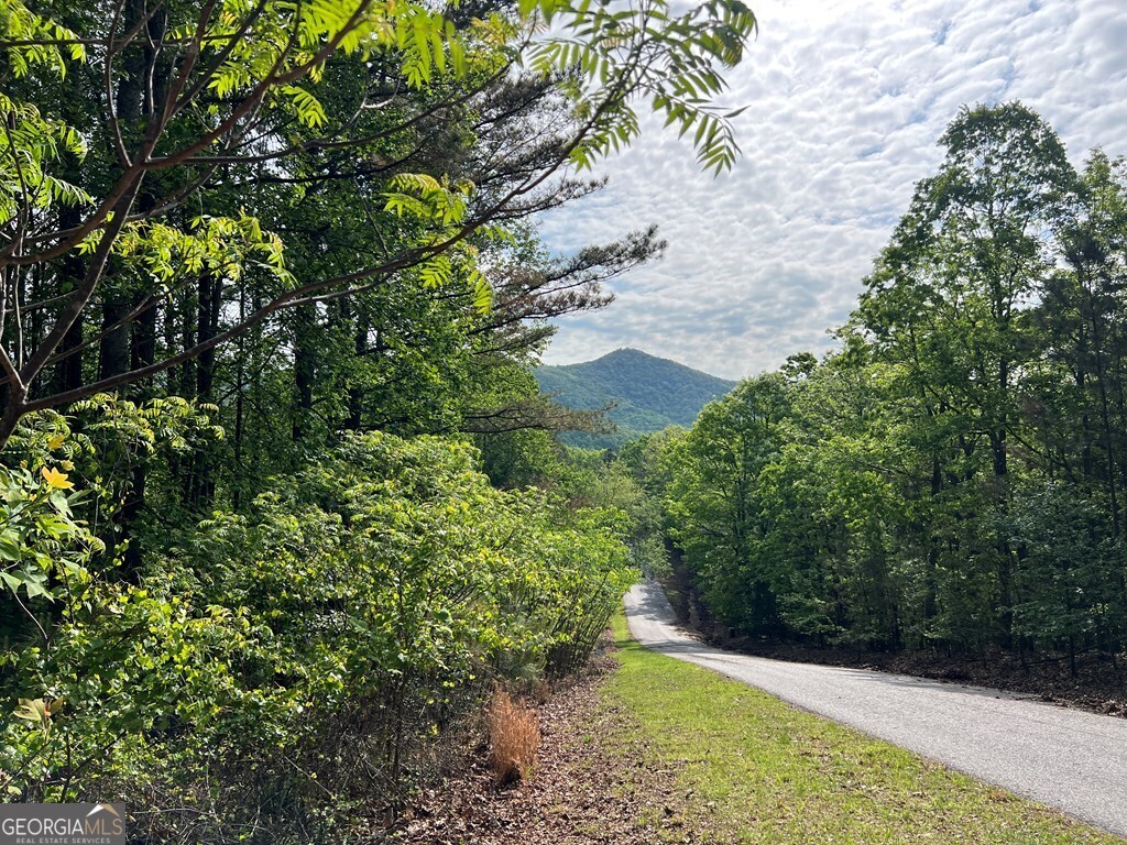 Lot 25 Loftis Mountain Property Photo 18