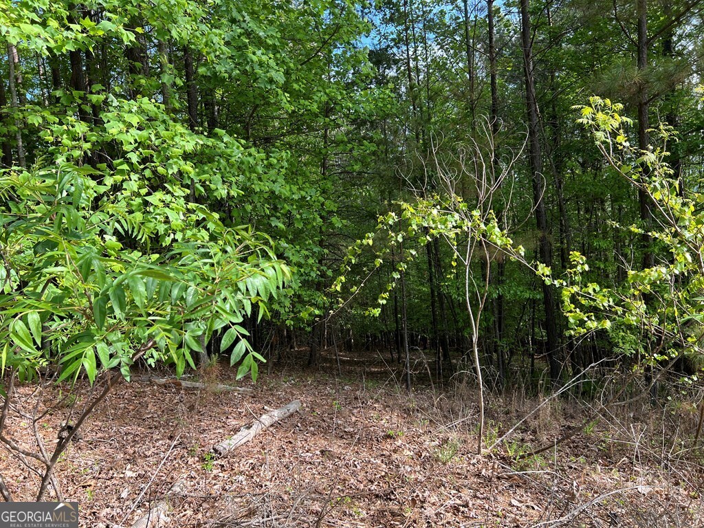 Lot 25 Loftis Mountain Property Photo 19