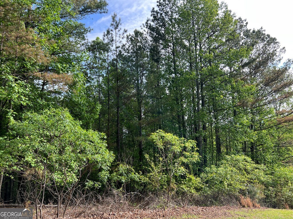Lot 25 Loftis Mountain Property Photo 20