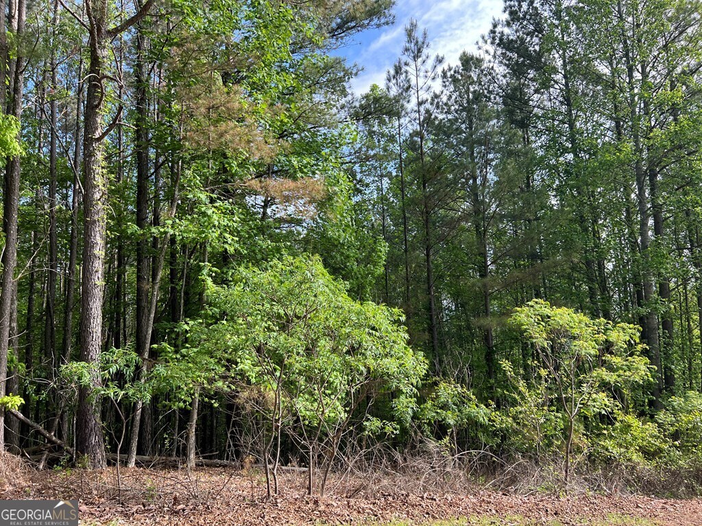 Lot 25 Loftis Mountain Property Photo 21
