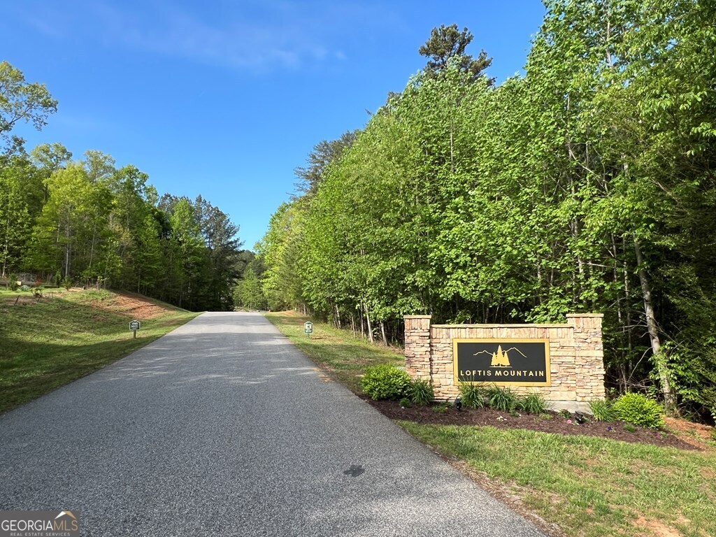 Lot 25 Loftis Mountain Property Photo 22