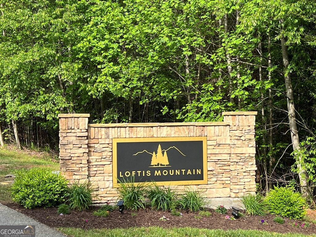 Lot 25 Loftis Mountain Property Photo 23