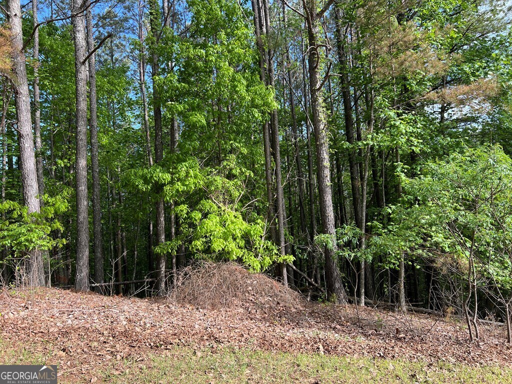 Lot 25 Loftis Mountain Property Photo 24