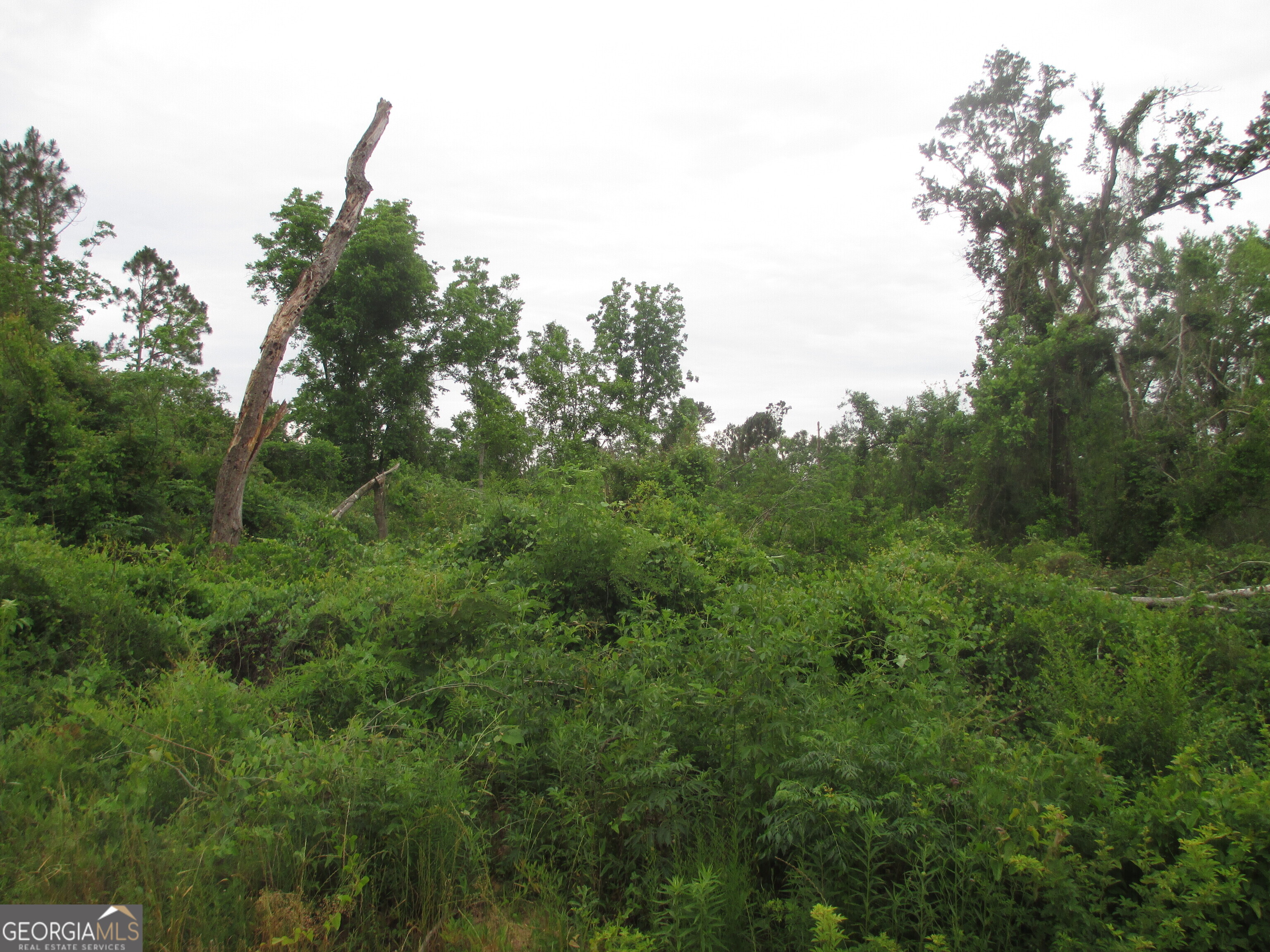 08600022t3 Redbird Road Property Photo 4