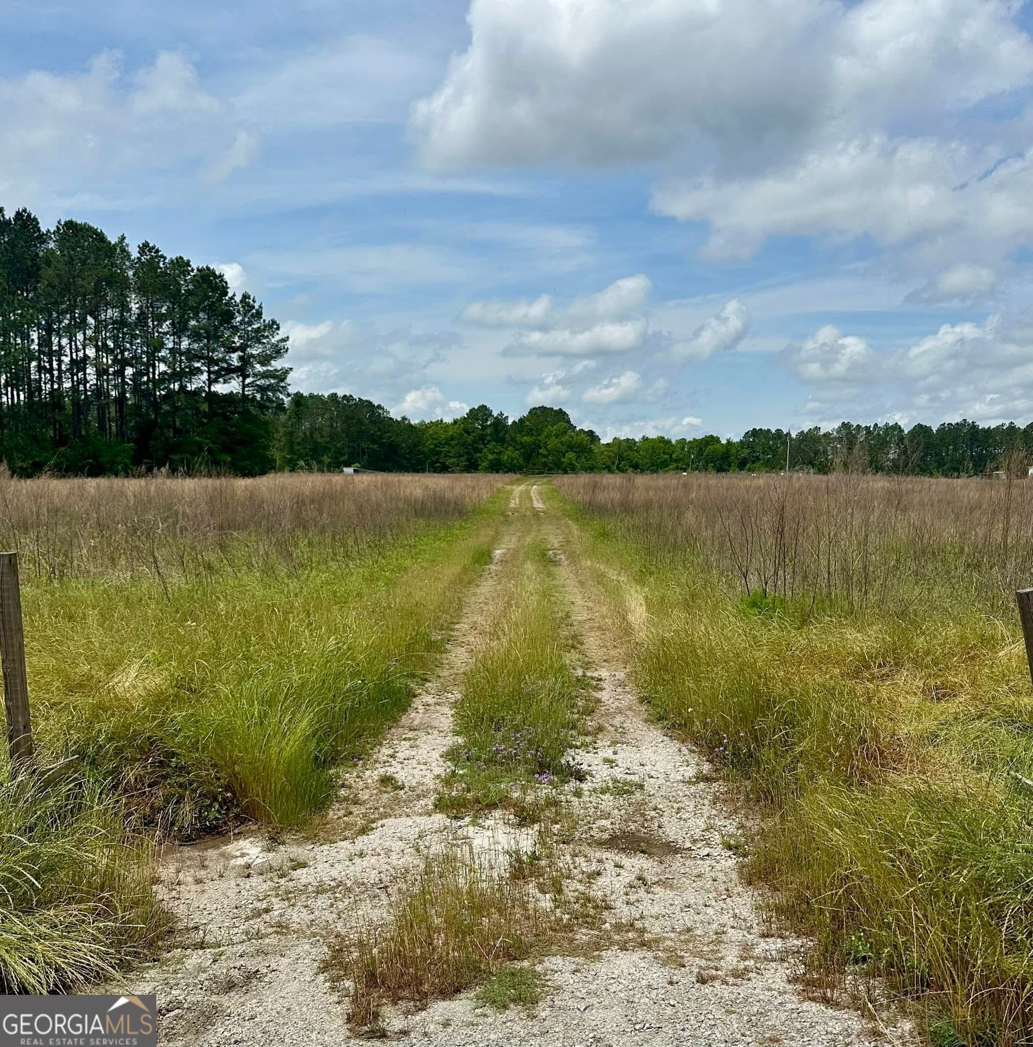 5324 Statesboro Highway Property Photo 1