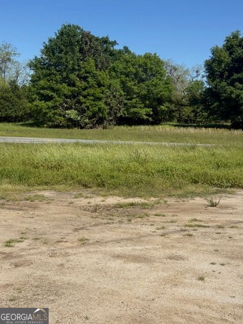 0 Georgia HWY 257 LOT 8