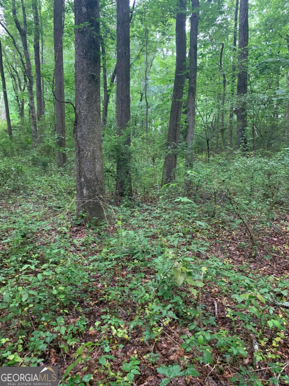 7700 Poole Circle # B Property Photo 1