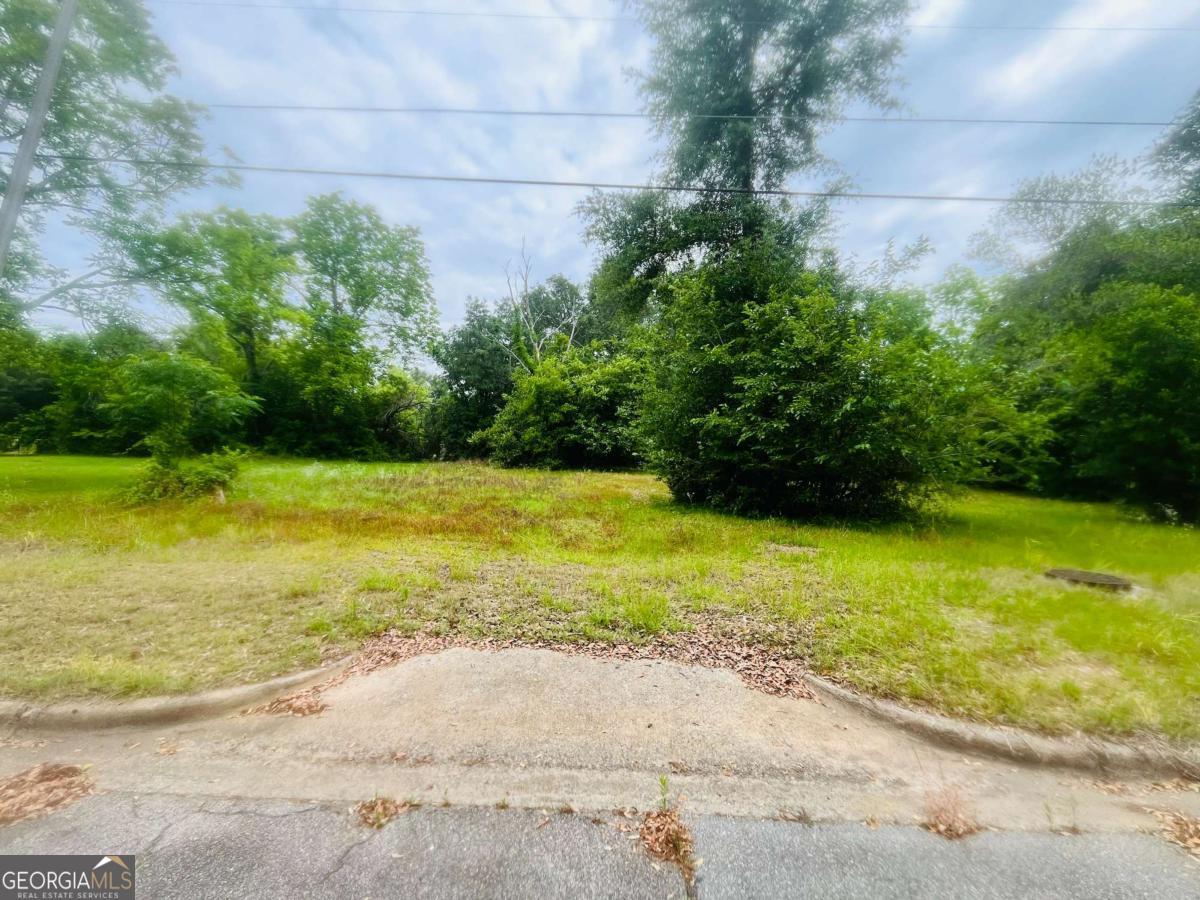 1323 E Society Avenue Property Photo 1