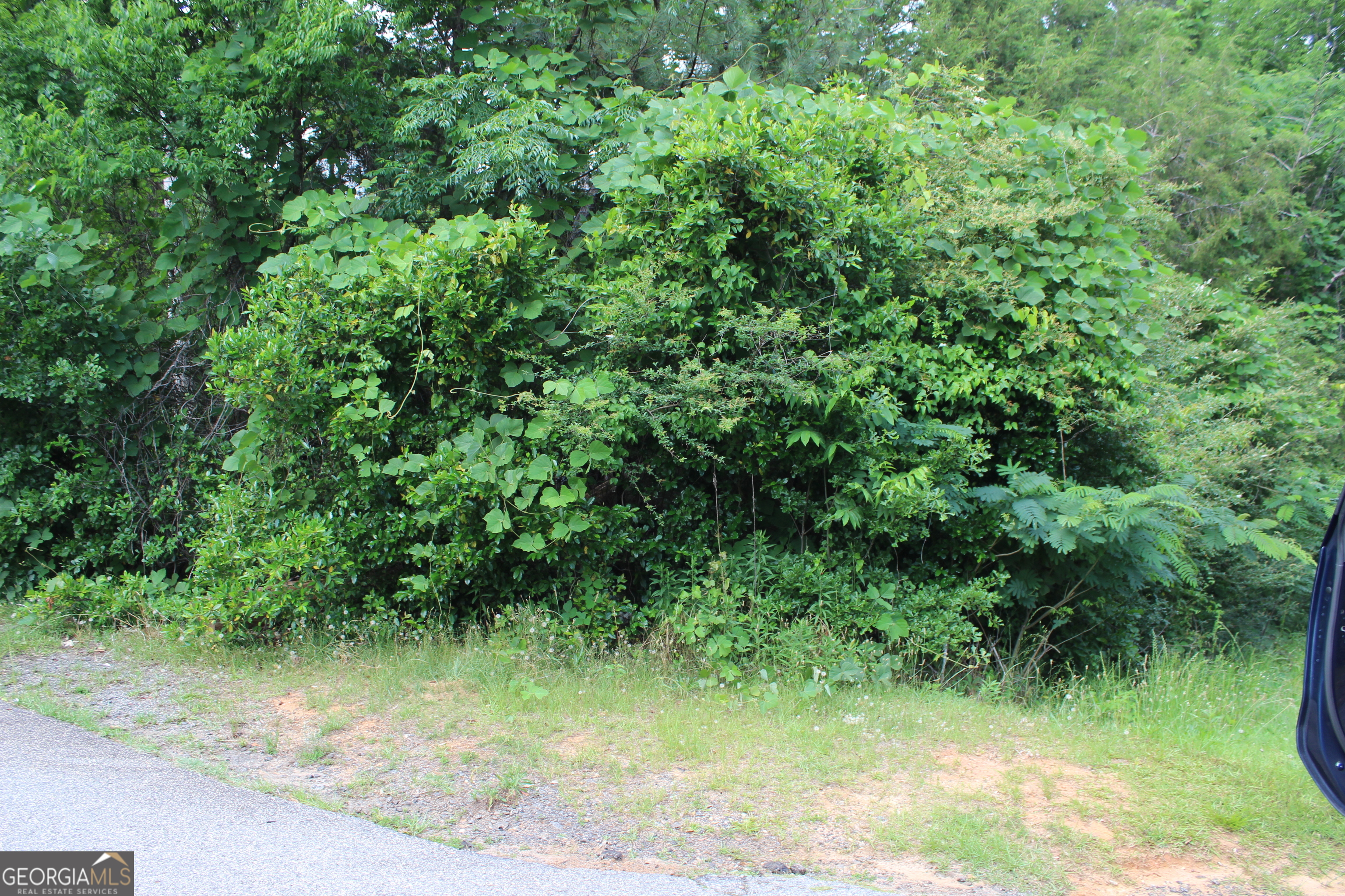 0 Liberty Street Property Photo 1