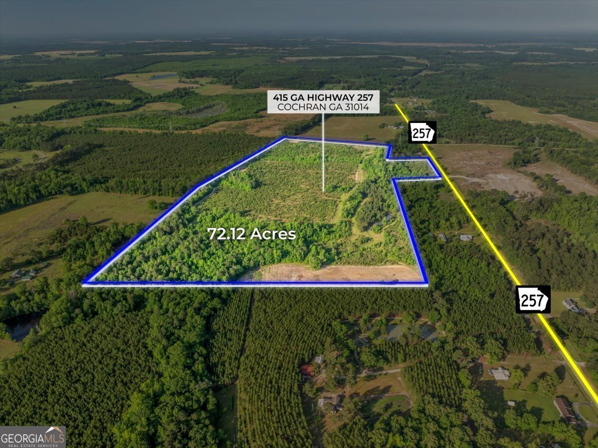 415 Ga Highway 257 Property Photo 1