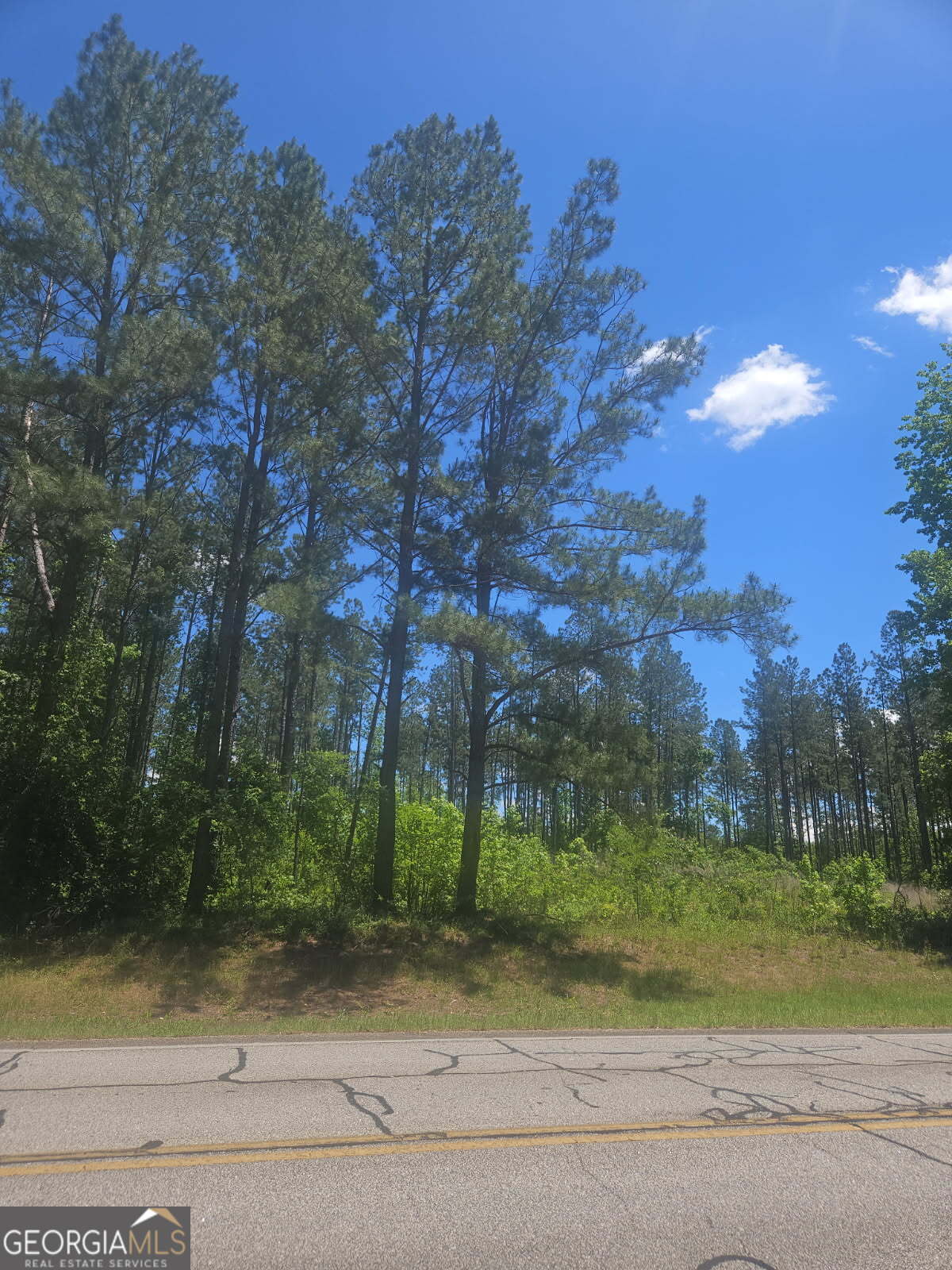 Lot #4 Highway 123 Property Photo 1