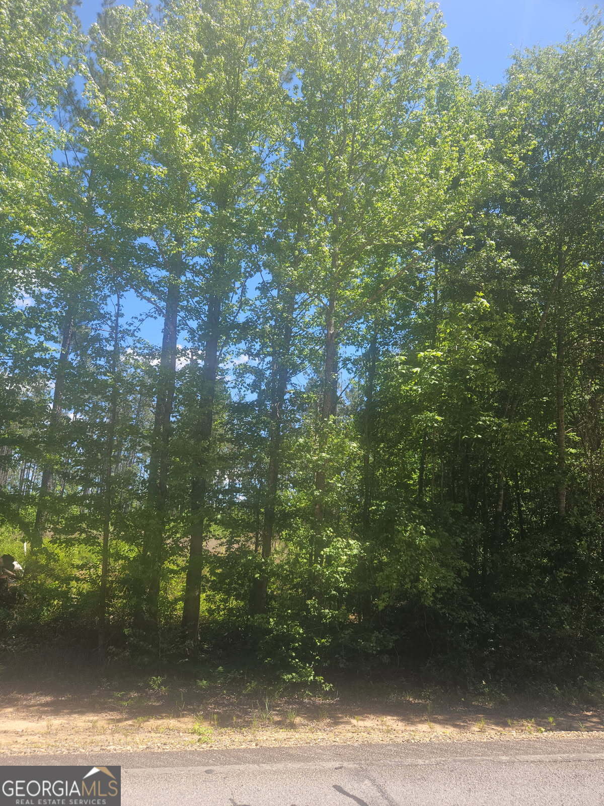Lot #5 Highway 123 Property Photo 1