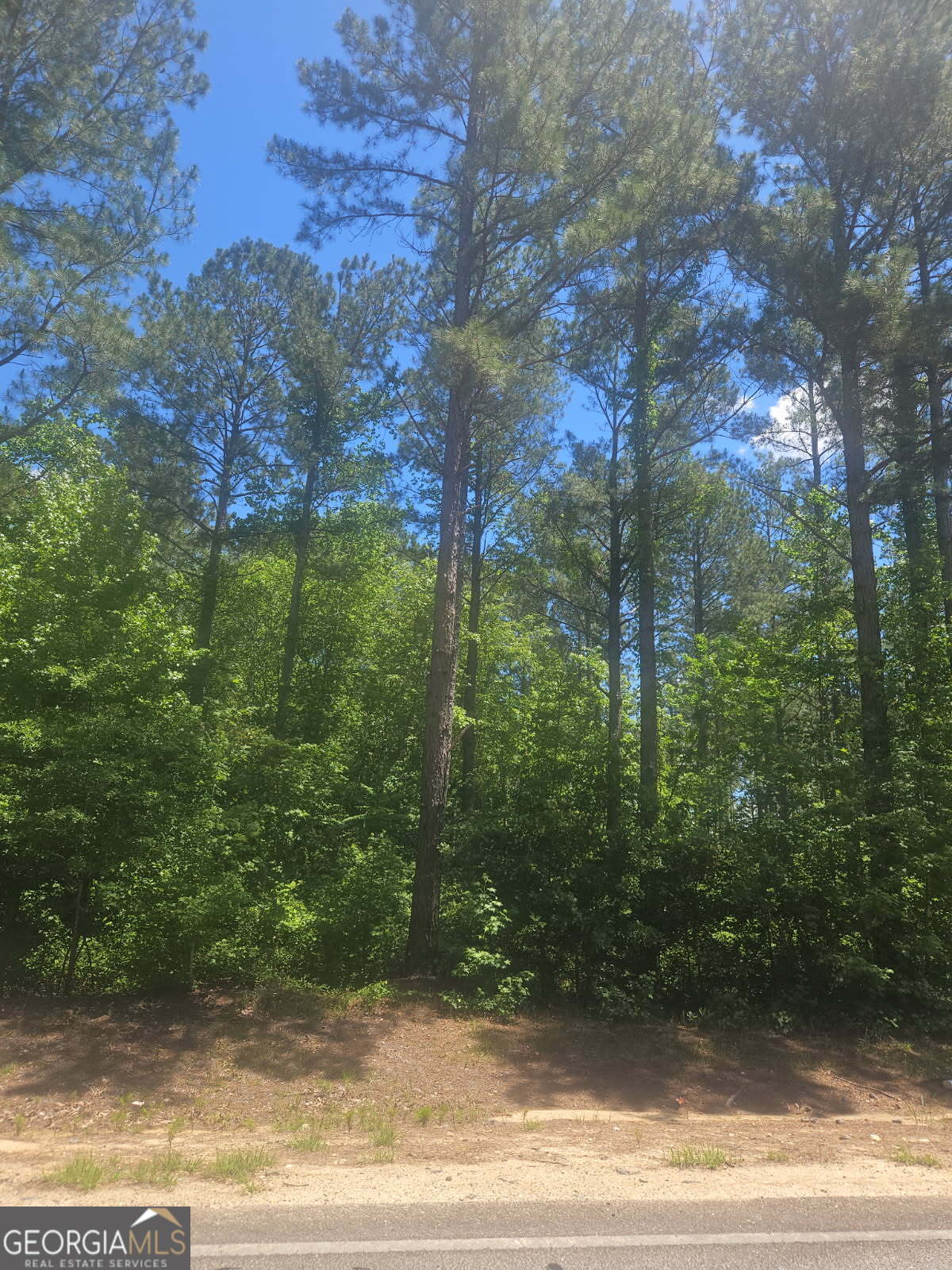 Lot #6 Highway 123 Property Photo 1
