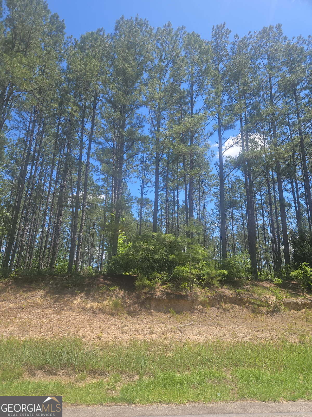 Lot #7 Highway 123 Property Photo 1