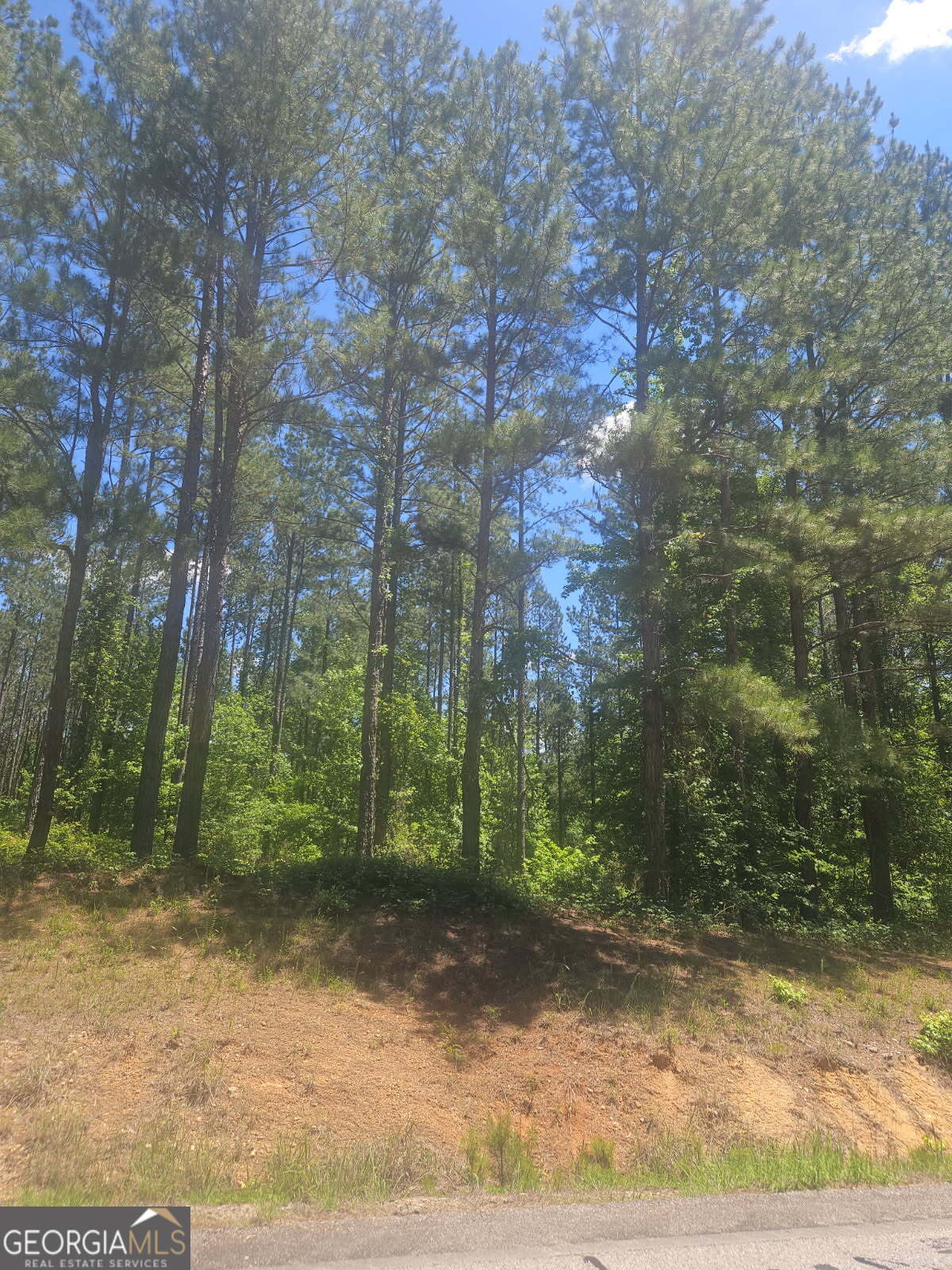 Lot #8 Highway 123 Property Photo 1