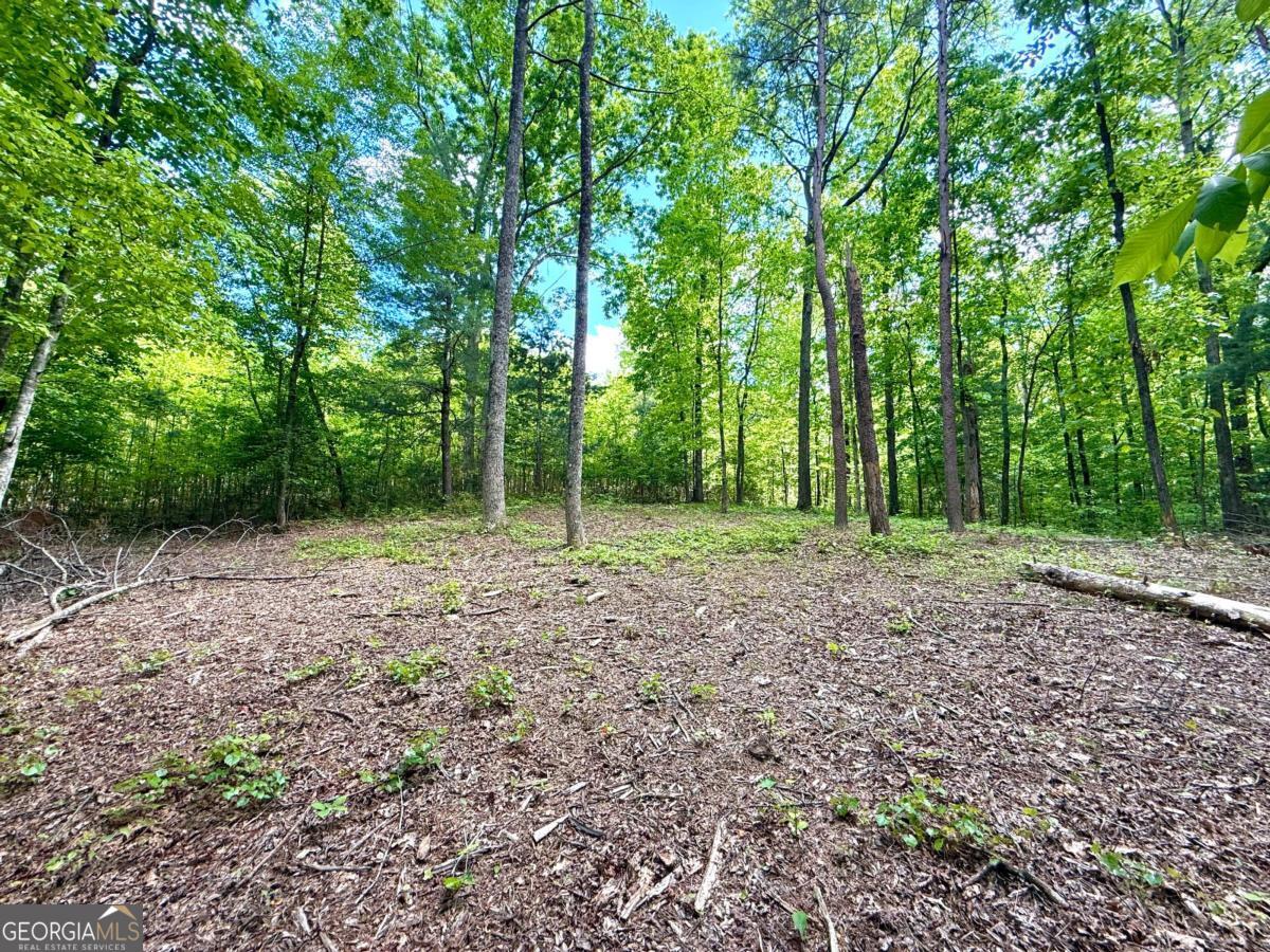 164 Reindeer Lane Property Photo 1