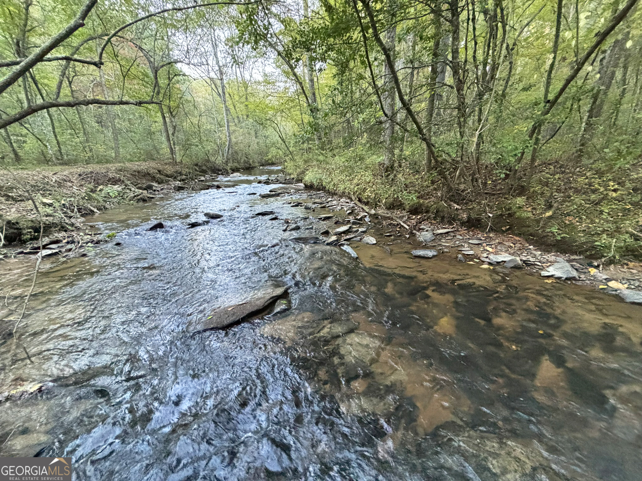2010 Mt Springer Road