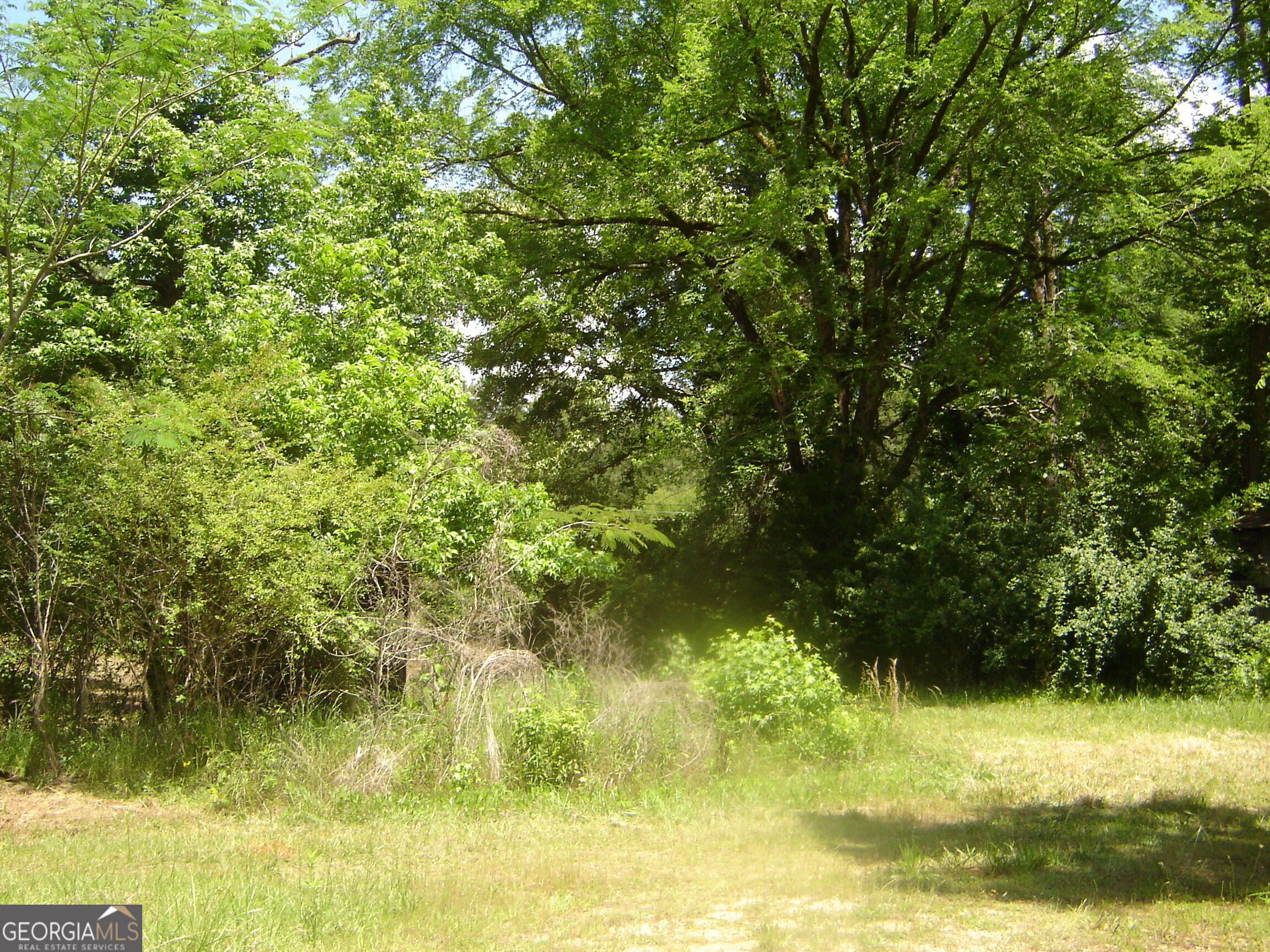 0 County Road 213 Property Photo 1