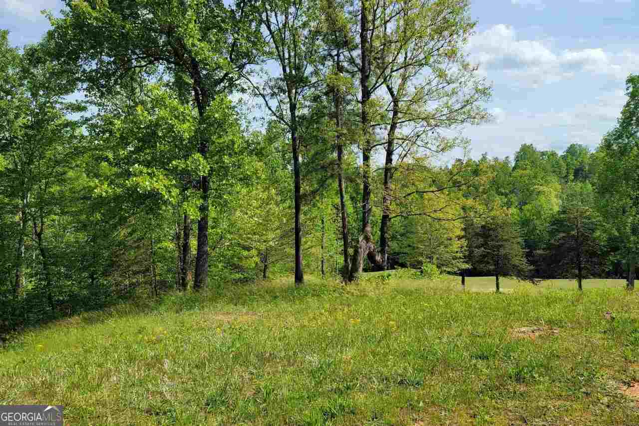 256 Golf Ridge Way Property Photo 1