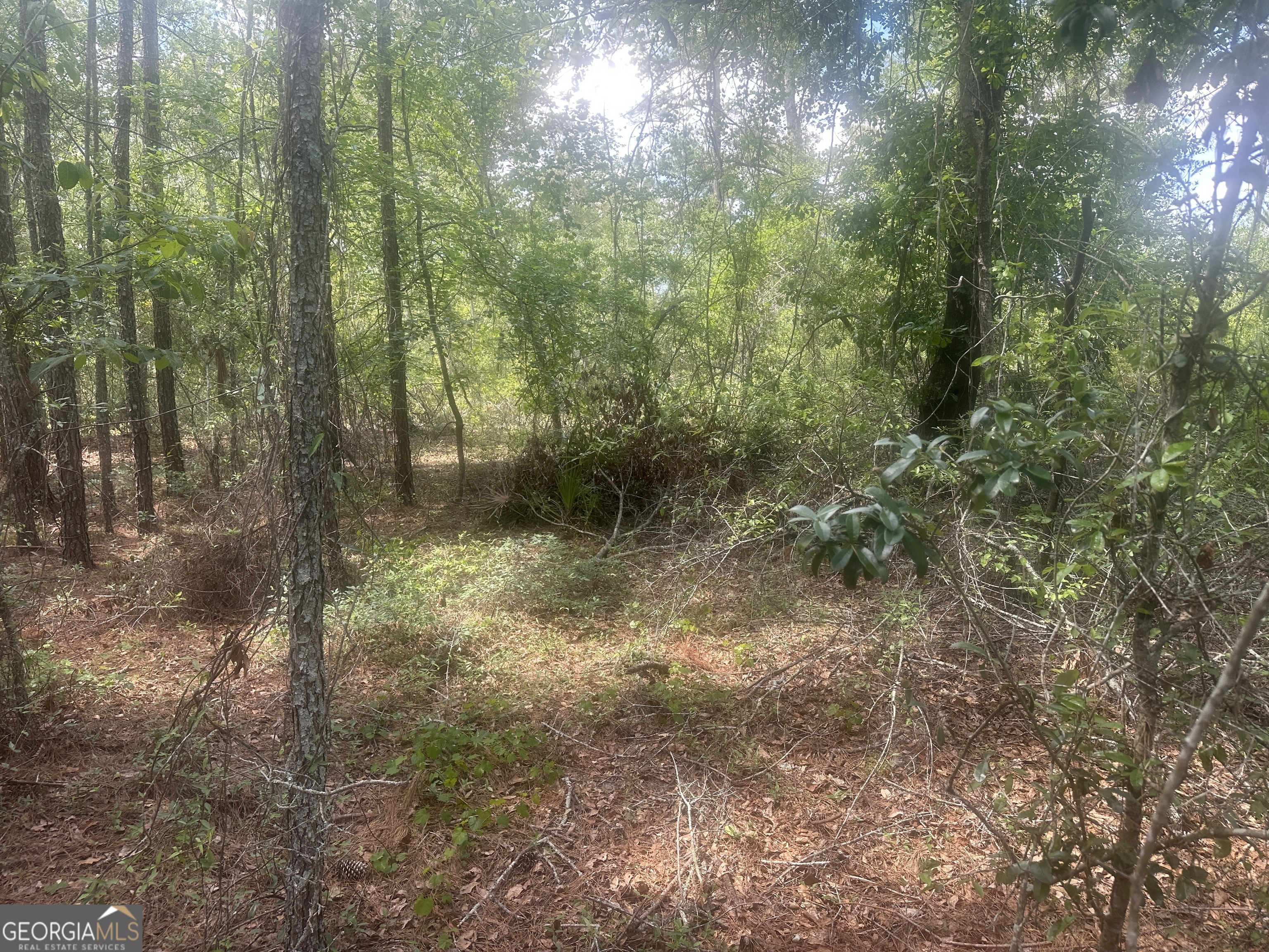 0 Robert Chapel Cemetery Road Property Photo 1