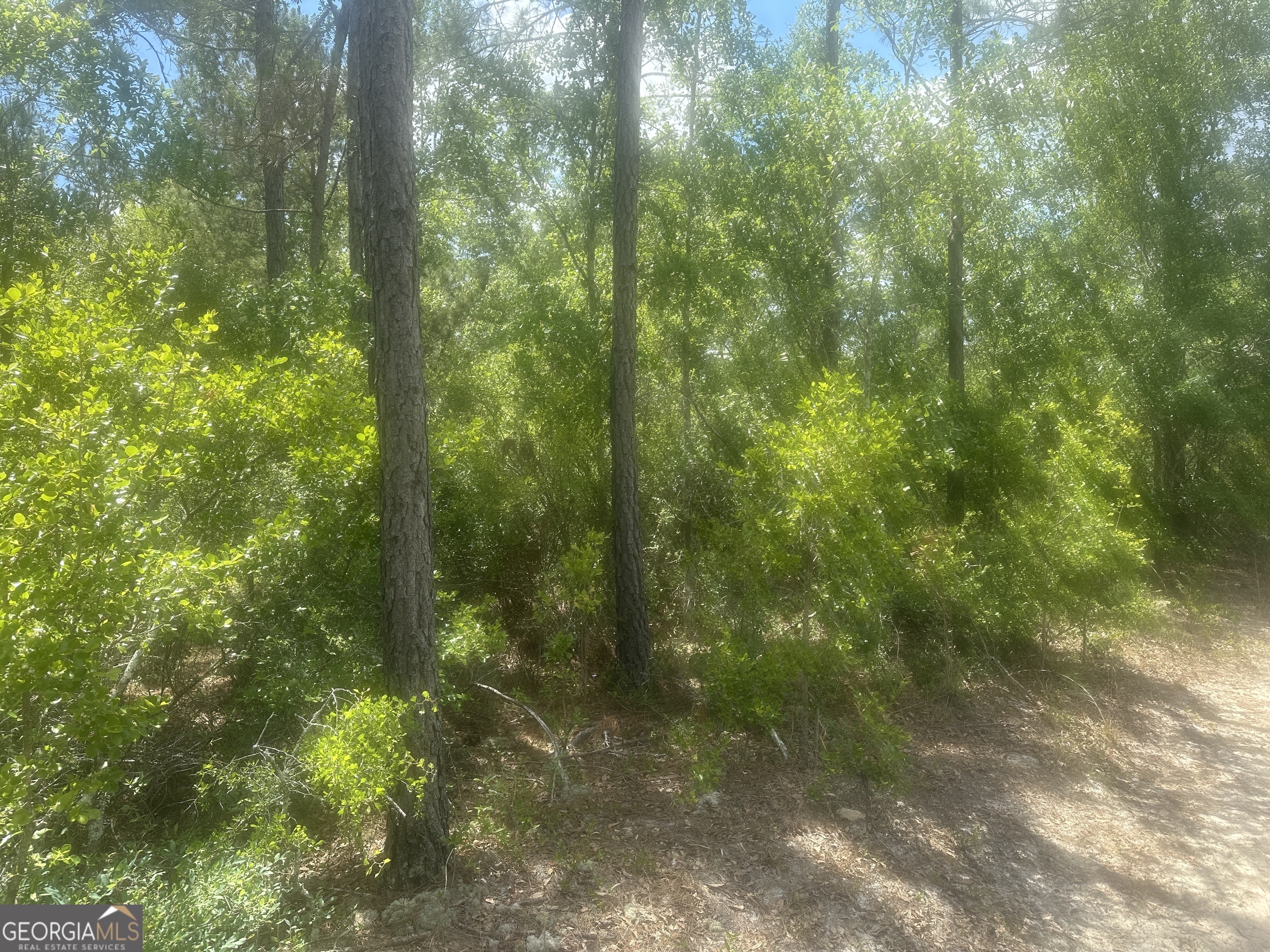 0 Robert Chapel Cemetery Road Property Photo 2